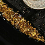Guaranteed gold flakes and paydirt in panning tray