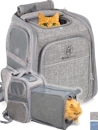 BriskTails pet backpack carrier with the rear panel fully expanded for extra cat lounge space.