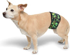 PlayaPup large male dog wrap for indoor marking control