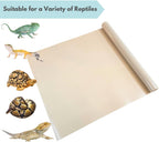 Reptile enclosure setup with bearded dragon on beige mat