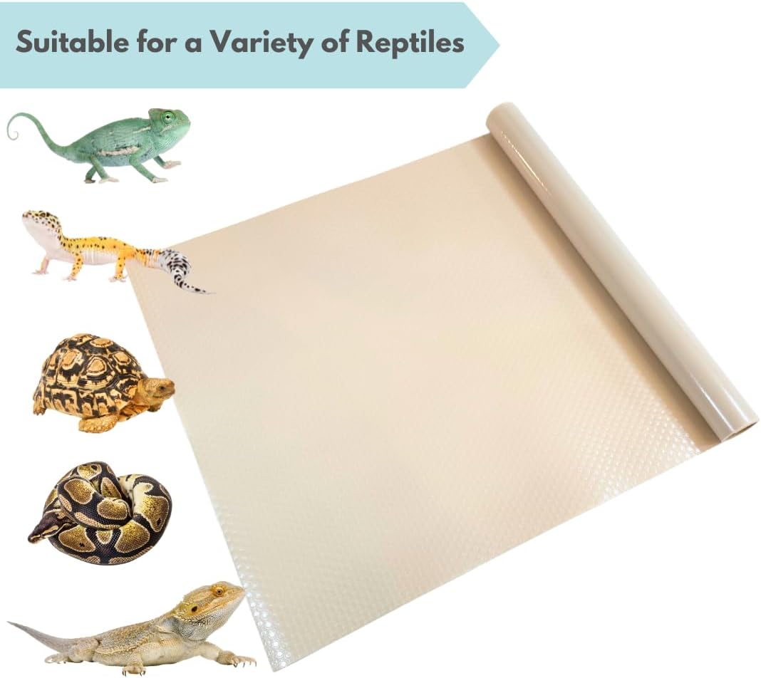 Reptile enclosure setup with bearded dragon on beige mat