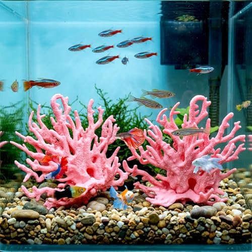 Bruislard artificial pink coral displayed inside a clean ten gallon freshwater aquarium