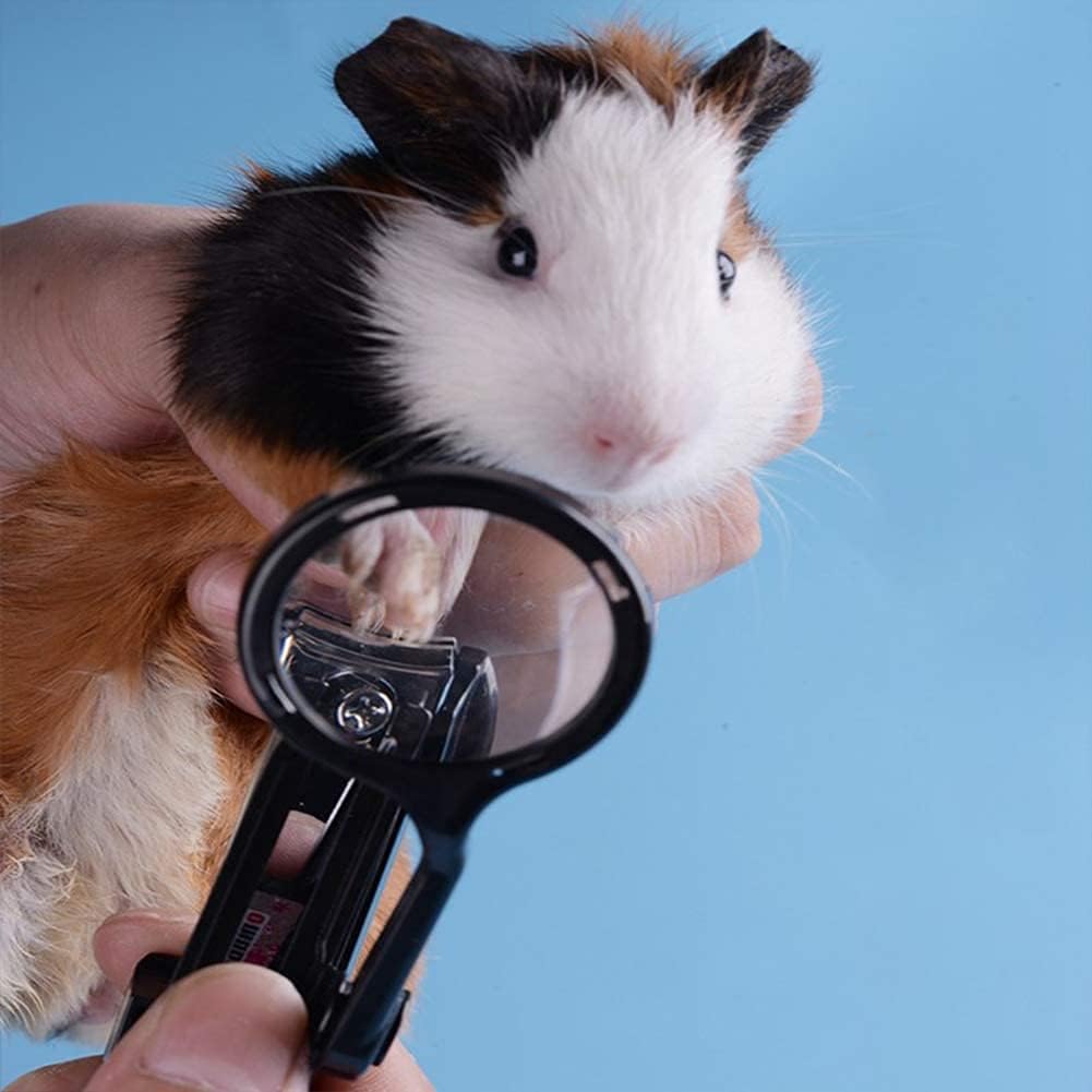Haichen Tec small animal nail clippers front view with magnifying glass