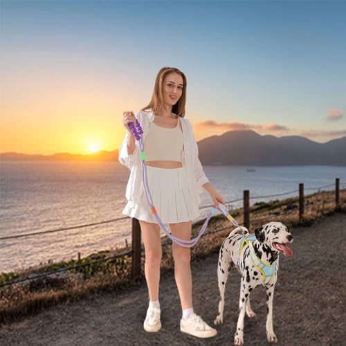 Purple JSXD pet leash folded for storage