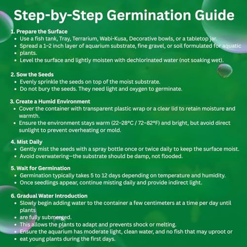 Aquatic plant starter kit step for planting dwarf carpet in a damp terrarium substrate.