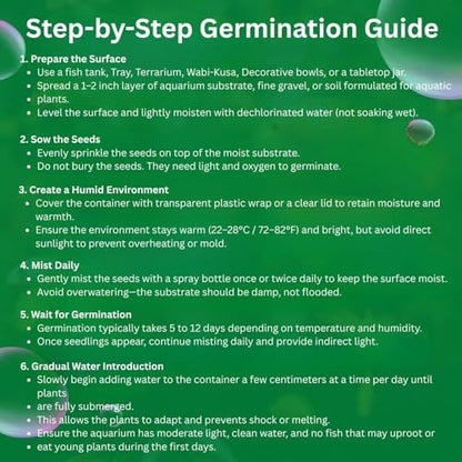 Aquatic plant starter kit step for planting dwarf carpet in a damp terrarium substrate.