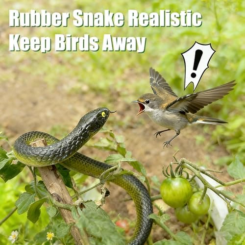 Realistic plastic snakes placed in a garden branch to deter birds and pigeons