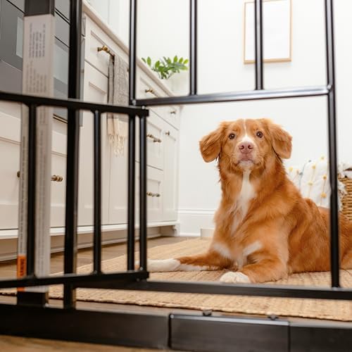 Carlson walk through pet gate lever style handle and safety lock details