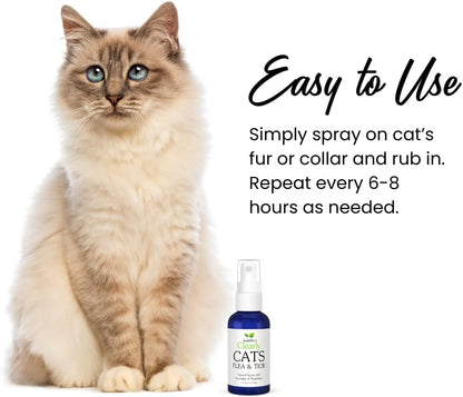 Isabella's Clearly Cats USA-imported natural pet care spray close-up