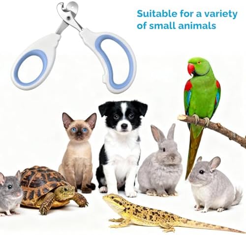 Xyembu professional kitten nail cutter angled edge precision tool