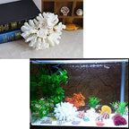 Besimple marine coral decoration styled for beach theme party