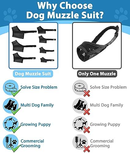 LuckyPaw dog muzzle used during a professional grooming session