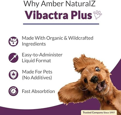 Amber NaturalZ Vibactra Plus Herbal Supplement for Dogs, Cats, Birds, Guinea Pigs, and Rabbits | Herbs for Immune Health and Yeast Balance | 1 Fluid Ounce Glass Bottle - Image 4