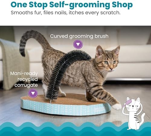 Orange cat scratching pad with bristle brush