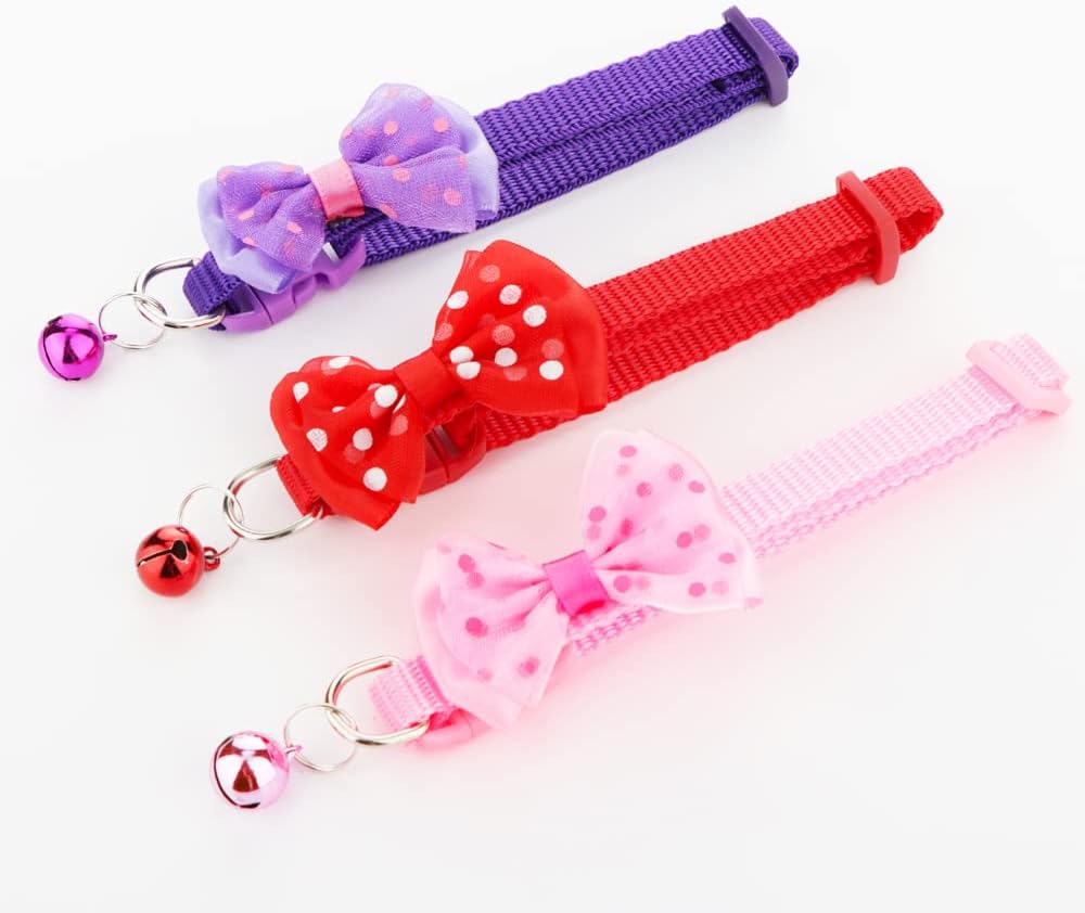 DQITJ pet exercise accessory lifestyle view