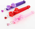 DQITJ pet exercise accessory lifestyle view
