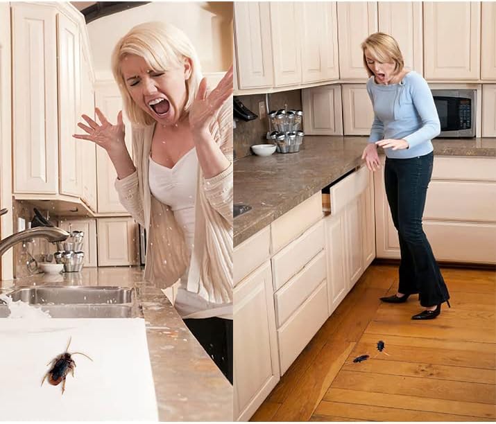 Sixteen individual pieces of lifelike fake cockroaches arranged neatly to show package contents