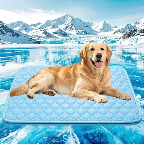 Zomisia thick pet cooling bed laid flat on an indoor floor showcasing the non slip bottom grid.