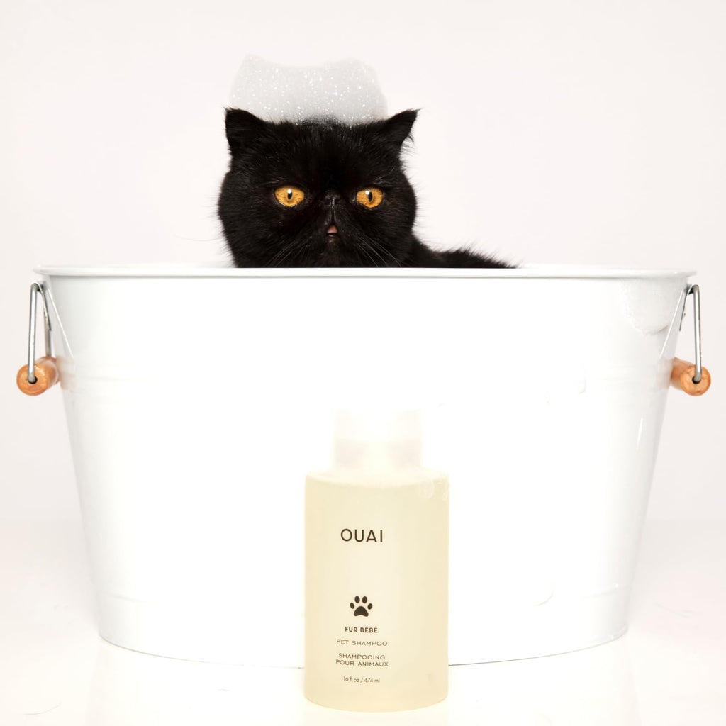 Ouai Mercer Street pet shampoo bottle design