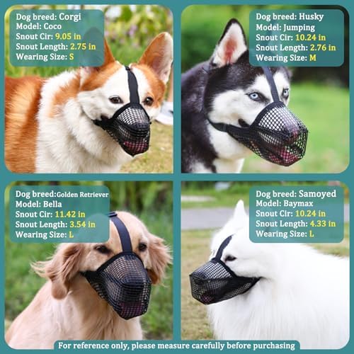 Demonstration of the reflective trim safety feature on the mesh dog muzzle for night walks.