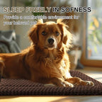 Pobopobo washable pet mattress placed neatly inside a small indoor metal dog crate.