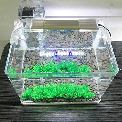 Smoothedo Pets miniature waterscape landscape setup for small fish.
