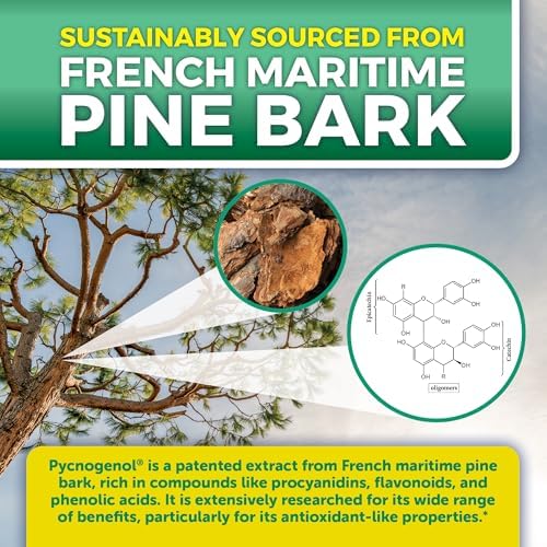 French maritime pine bark extract supplement bottle showing clear ingredient facts label.
