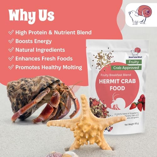 Technical Precision Snout And Shell Natural Hermit Crab Food texture display