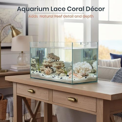 Coastal home decor arrangement featuring white sea coral alongside natural seashells