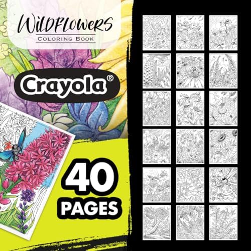 Demonstration of tearing out a perforated sheet from the Crayola Wildflower book.