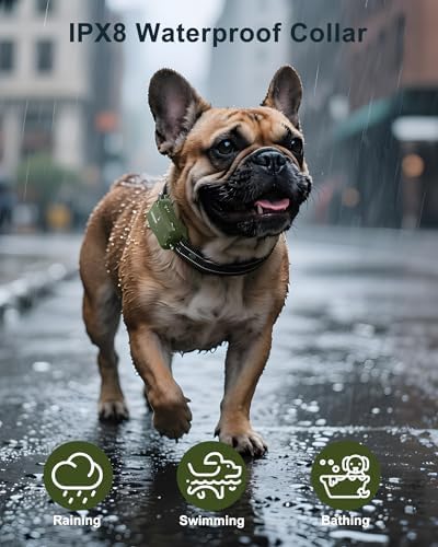 Jugbow dog training remote with security lock feature display