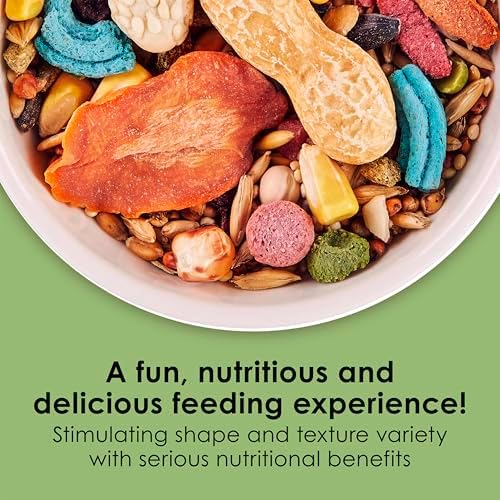 Kaytee Fiesta gourmet blend food kibble and seed texture closeup