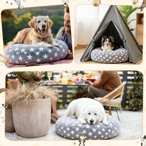 Cozy small kitten resting comfortably on the star themed round cat bed protector fabric