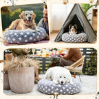Cozy small kitten resting comfortably on the star themed round cat bed protector fabric