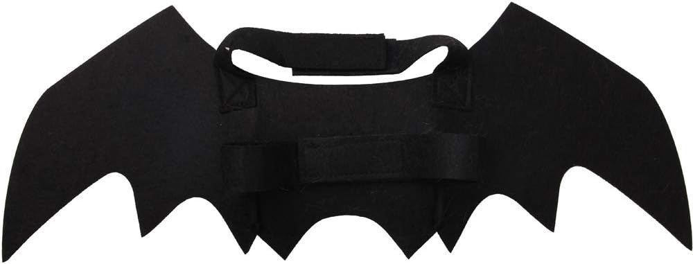Cat dressed in spooky bat wings for halloween