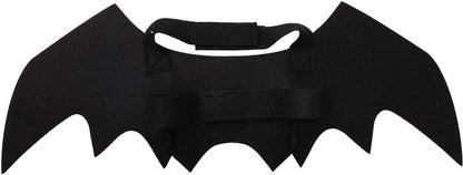 Cat dressed in spooky bat wings for halloween
