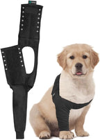 Suitical Recovery Sleeve for Dogs - Interchangeable, Single Sleeve Front Leg Protection for Post-Surgery, Hot Spots, or Skin Issues - Breathable, Machine Washable - L Black - Chest: 25.2-33.1 in - Image 12