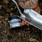 Motherlove Green Salve jar with ingredients list featuring plantain and marshmallow root.