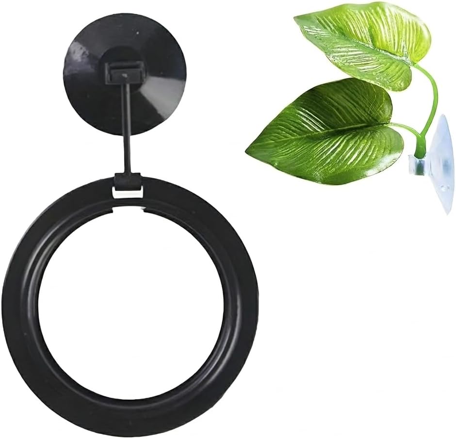 SunGrow Betta Feeding Ring, Prevent Water Turbulence from Washing Food into Filter, Practical Round Floating Food, Suitable for Guppy, Goldfish and Other Small Fish (1 Pc) - Image 9