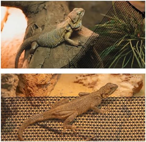 Side profile of lizard climbing on black and yellow reptile hammock