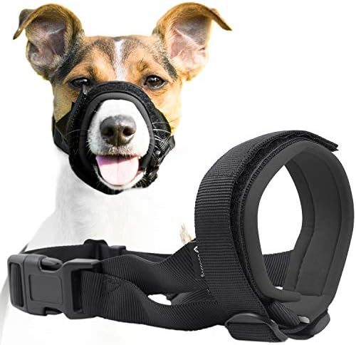 GoodBoy dog muzzle guard grey medium size adjusted on a pet snout demonstrating breathing room