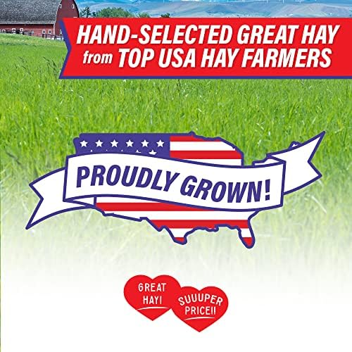 Natural Timothy Hay Texture For Small Pets