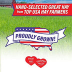 Natural Timothy Hay Texture For Small Pets