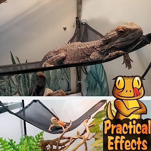 Side view of gecko on triangular reptile hammock