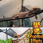Side view of gecko on triangular reptile hammock