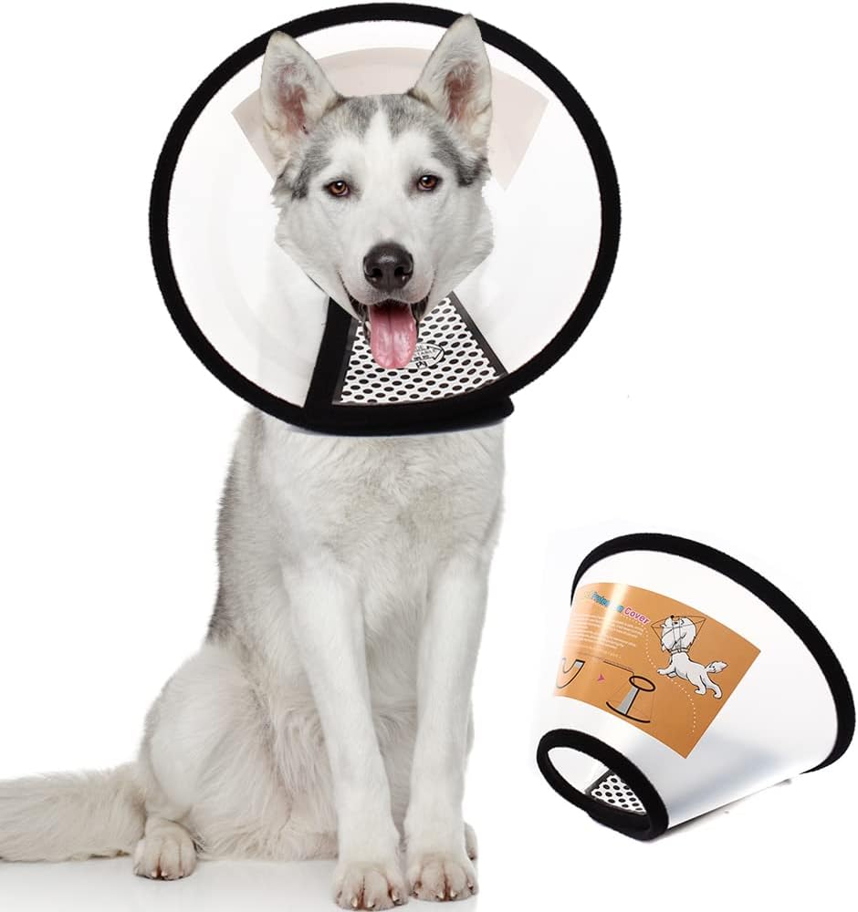 Qiyadin durable medical safety collar for pets showing comfortable padded edges.