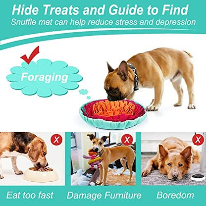 Dog Foraging Treats Inside Colorful Pet Mat