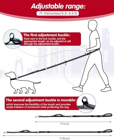 Wanfire dog leash attached to car seatbelt buckle