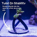 Thsaot Coral Frag Plug Substrate Anchors In Saltwater Aquarium