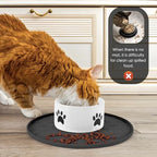 Foldable travel-friendly silicone pet feeding mat